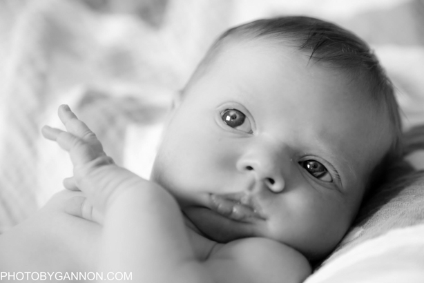 newborn photographers in atlanta